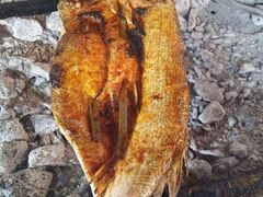 -新疆风味冷水鱼庄(友谊峰路店)