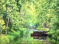 -合肥滨湖国家森林公园