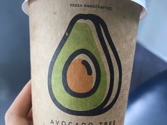 -油梨树 AVOCADO TREE(亮马桥店)