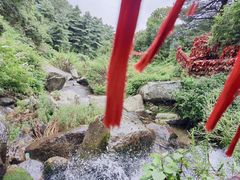 -苍山感通索道