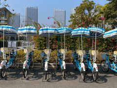 -黄金海岸环岛路