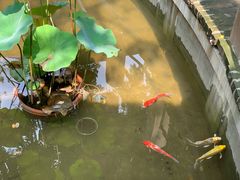 -院8里·小聚园老川菜(九眼桥店)