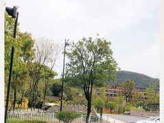 -杭州开元森泊度假乐园