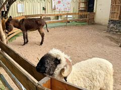 -HERRE·FARM 赫尔露营农场·团建聚会包场