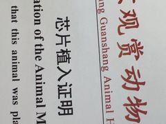 -北京观赏动物医院·24小时大型综合·猫专科·异宠专科