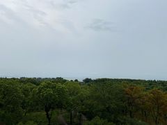 -贡湖湾湿地公园