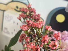 -盒马鲜生(曜一城店)