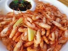 -全乐鱼馆·淳牌有机鱼直营店