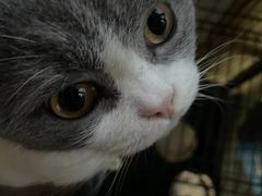 -安安宠医·安宠宠物医院