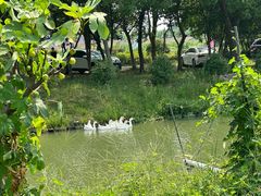 -美家乐农庄·露营·团建(大治路店)