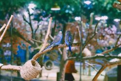 -酷嗒动物文化乐园(cutezoo西溪乐天城店)