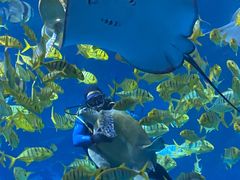 -太平洋海底世界