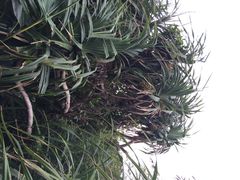 鹅銮鼻公园-鹅銮鼻公园