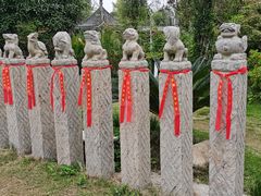 -武汉紫薇都市田园