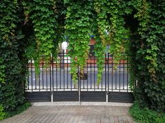 -天津津利华酒店