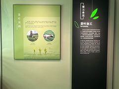 -中国茶叶博物馆(双峰馆区)