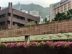 -香港大学