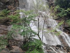 -陕西省红河谷森林公园