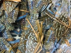 -盒马鲜生(大成店)