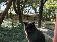 -西园戒幢律寺
