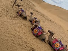 -银肯塔拉沙漠生态旅游景区