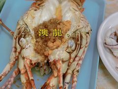 -强记龙虾钳(定安里店)