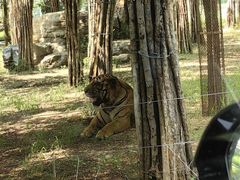-秦皇岛野生动物园