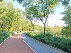 -滨河世纪广场公园