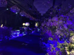 -格乐利雅婚礼艺术中心(浦东花木店)