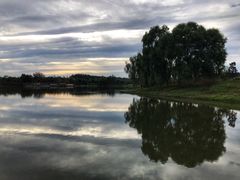-东郊湿地公园