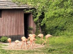 -合肥野生动物园