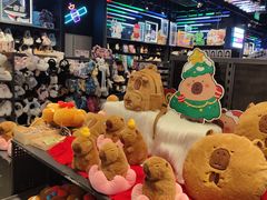 -酷乐潮玩(长楹龙湖天街店)