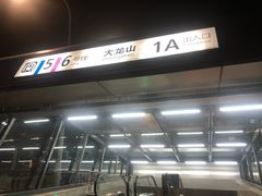 -大龙山(地铁站)