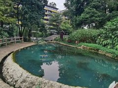 -成都市活水公园