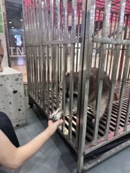 -Moni星球萌宠·小马宝莉·灵蛇·高端高阶全萌宠互动体验俱乐部(红豆国际广场店)