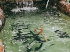 -小北江河鲜(新城店)