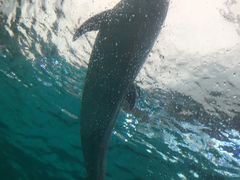 -波塞冬旅游度假区