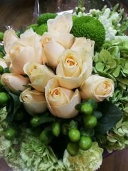 -爱尔乐美孕产瑜伽·普拉提