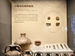 -四川大学博物馆