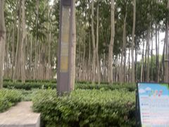 -仁和公园(顺义区)