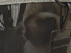 -美联众合动物医院·24h转诊中心