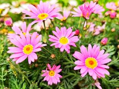 -红黄蓝幼儿园(颐东苑店)