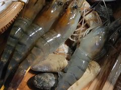 -Thai Basil罗勒叶泰式餐厅(时代天街店)