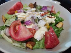 希腊沙拉-机器人火炉披萨