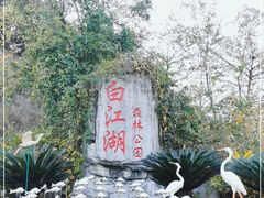 -广州白江湖森林公园
