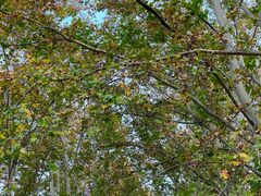 -河南省黄河迎宾馆