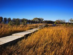-野鸭湖国家湿地公园