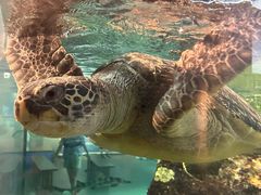 -西海国立公园九十九岛水族馆