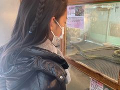 -上海大自然野生昆虫馆(东方明珠·爬宠昆虫探索中心)