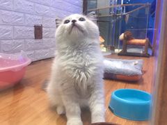-龟与熊猫宠物公园(南坪店)